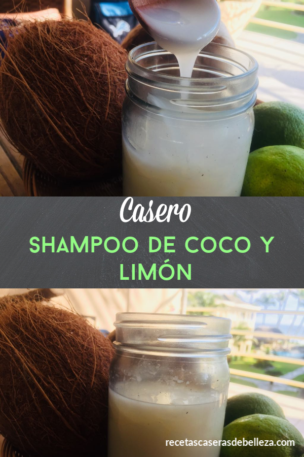 Shampoo Casero